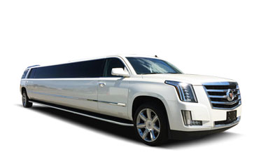 Cadillac Escalade Limousine White